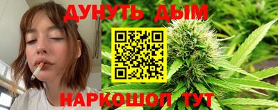 стаф Бийск