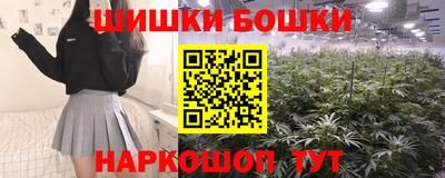 стаф Бийск