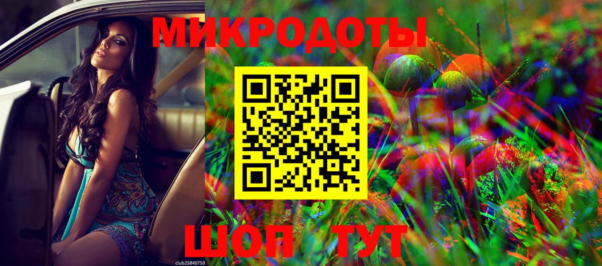 Псилоцибиновые грибы Psilocybe Воркута
